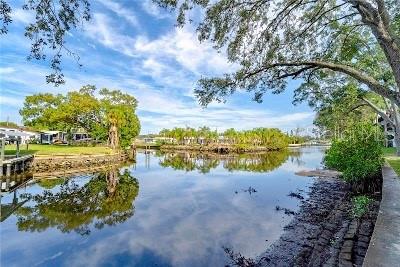 9205 TUDOR DR #C209, TAMPA, FL, 33615