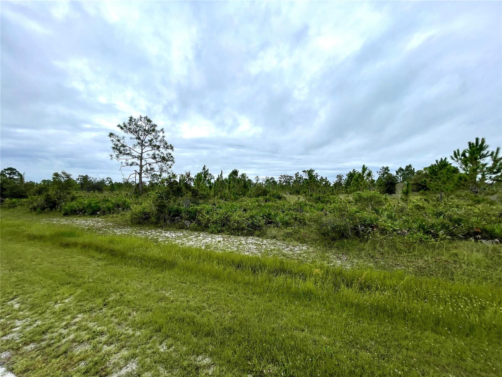17201 RIVER RANCH CT, PUNTA GORDA, FL, 33982