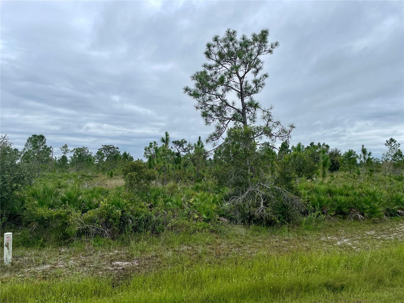 17201 RIVER RANCH CT, PUNTA GORDA, FL, 33982