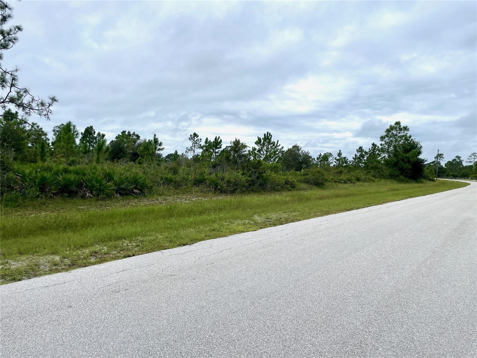 17201 RIVER RANCH CT, PUNTA GORDA, FL, 33982