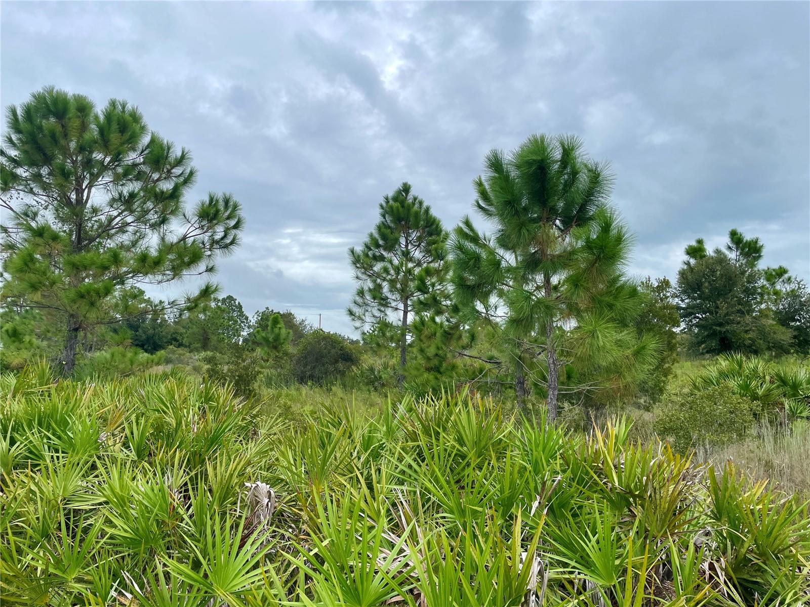 17201 RIVER RANCH CT, PUNTA GORDA, FL, 33982