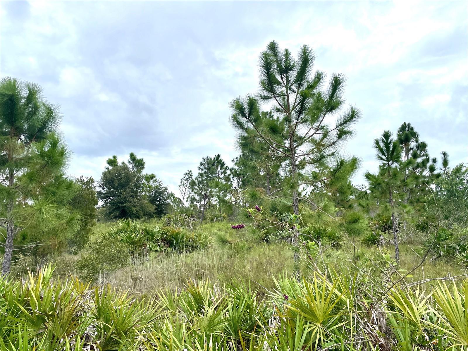 17201 RIVER RANCH CT, PUNTA GORDA, FL, 33982