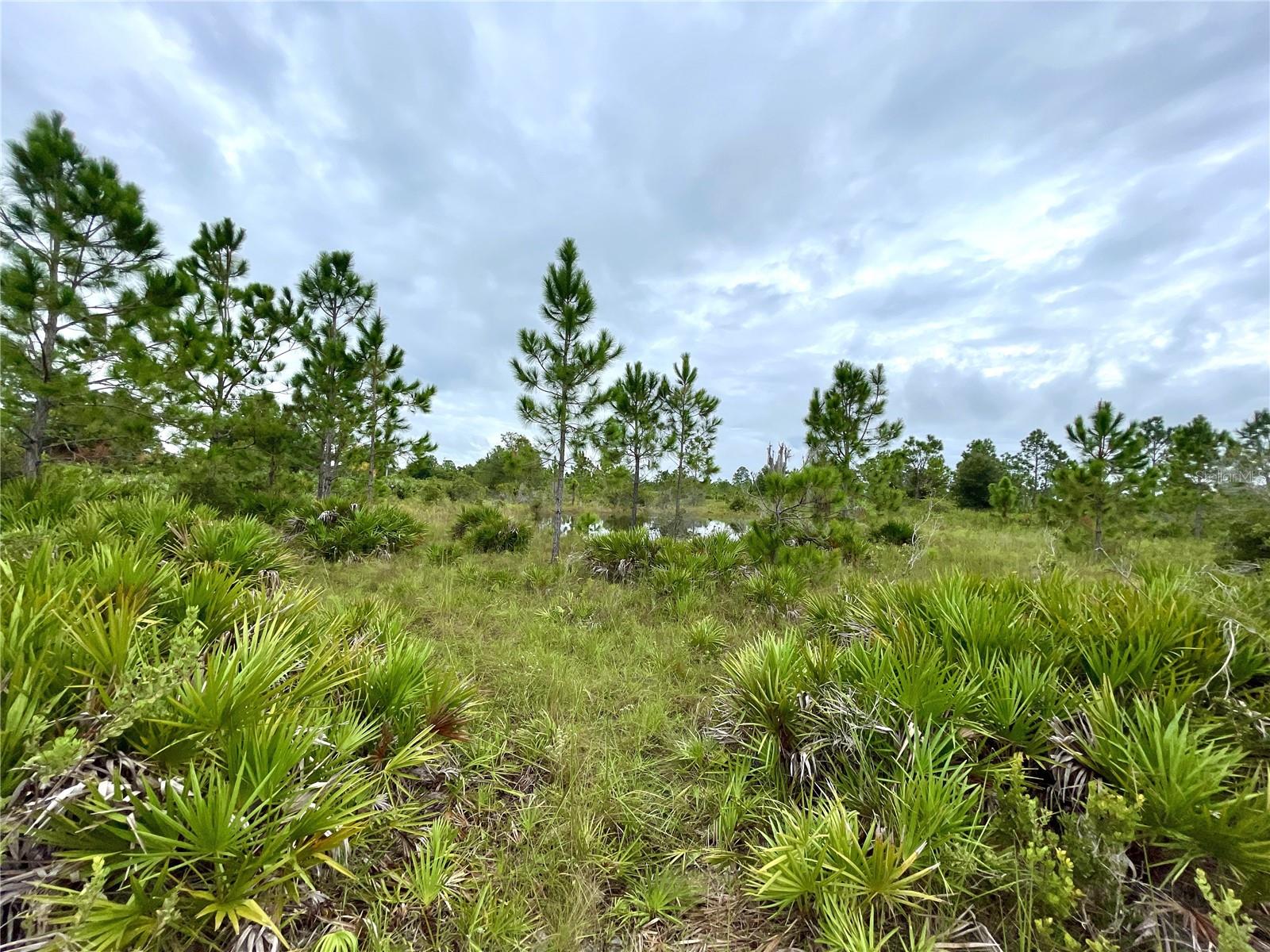 17201 RIVER RANCH CT, PUNTA GORDA, FL, 33982