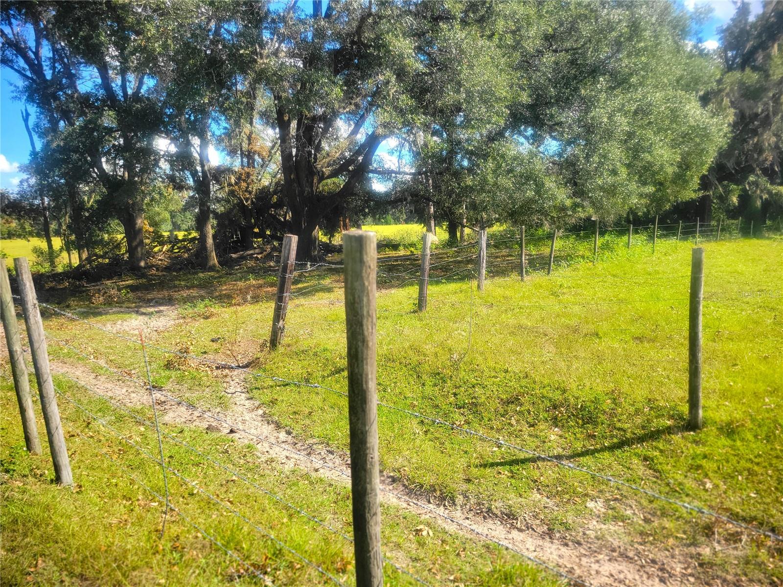 TBA 43RD PL, NEWBERRY, FL, 32669