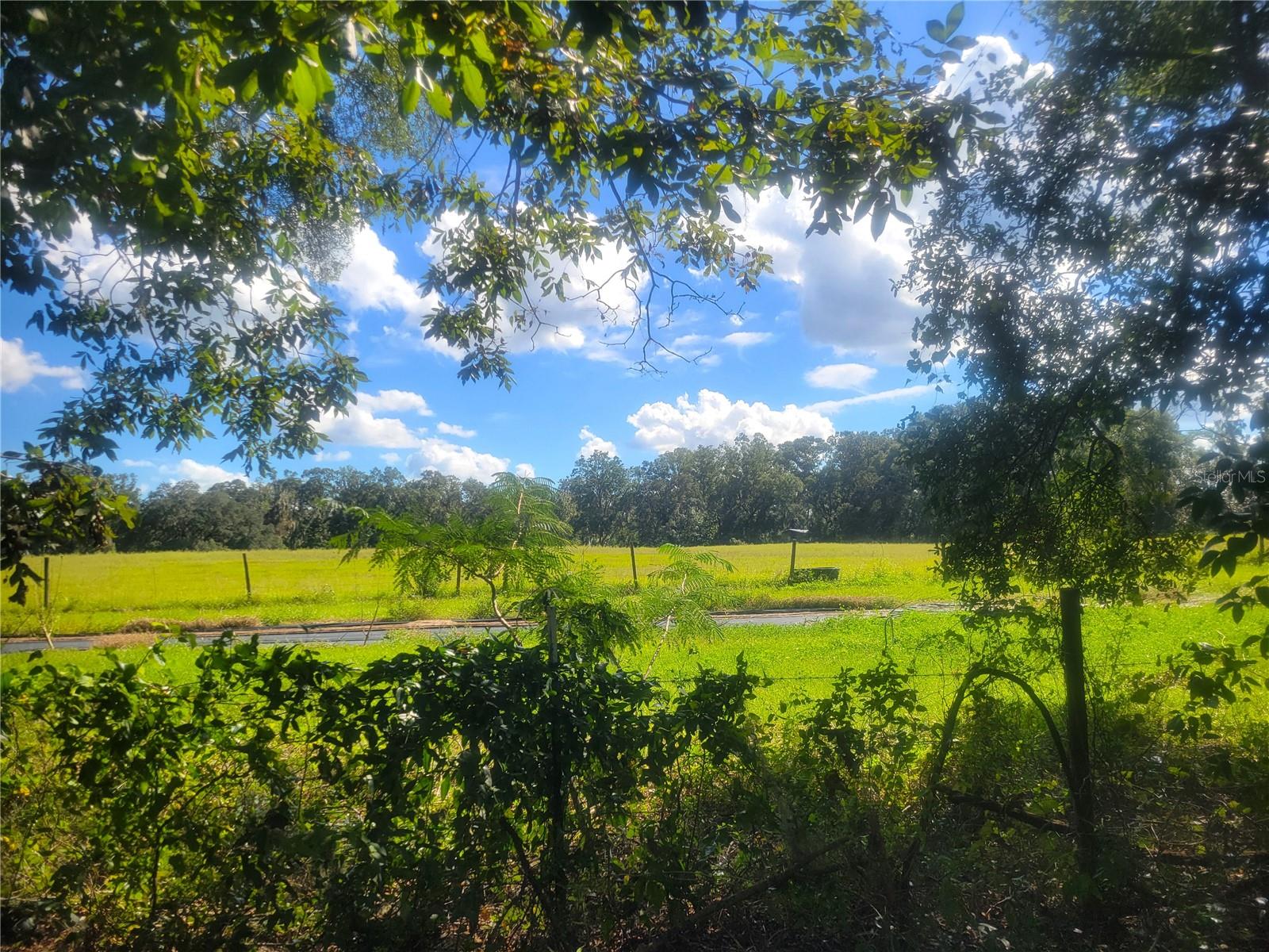 TBA 43RD PL, NEWBERRY, FL, 32669