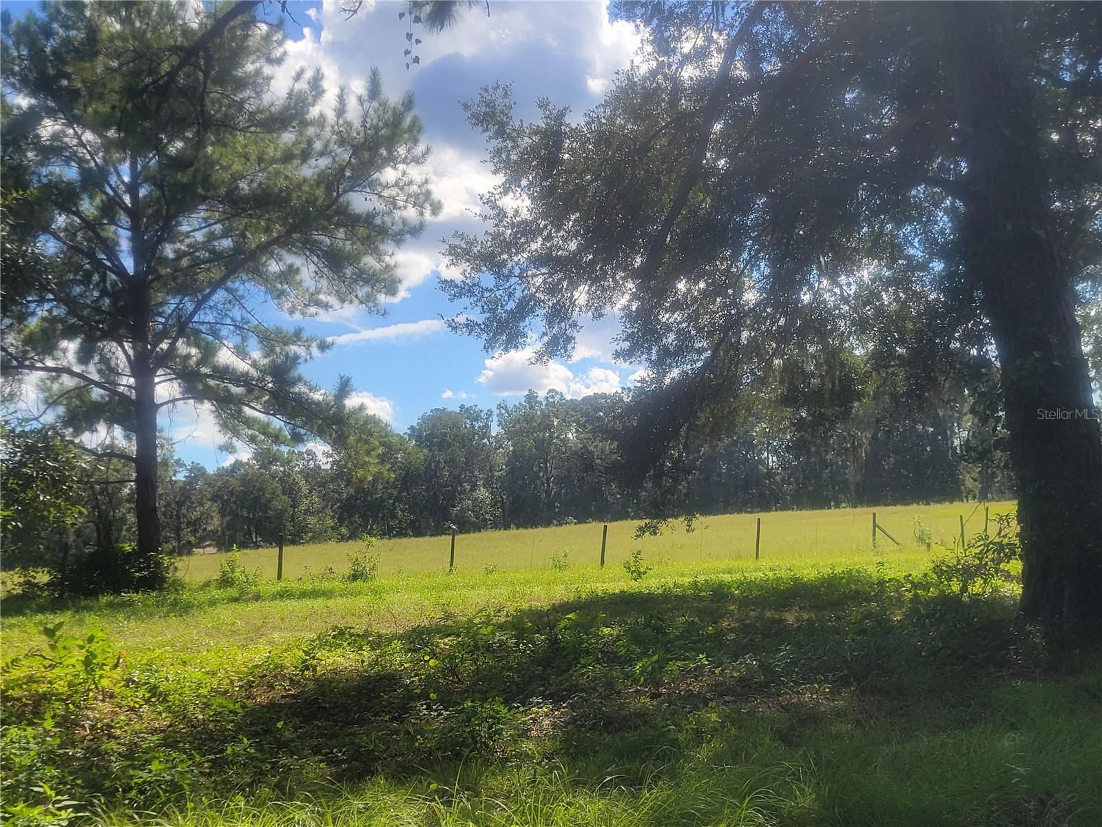 TBA 43RD PL, NEWBERRY, FL, 32669
