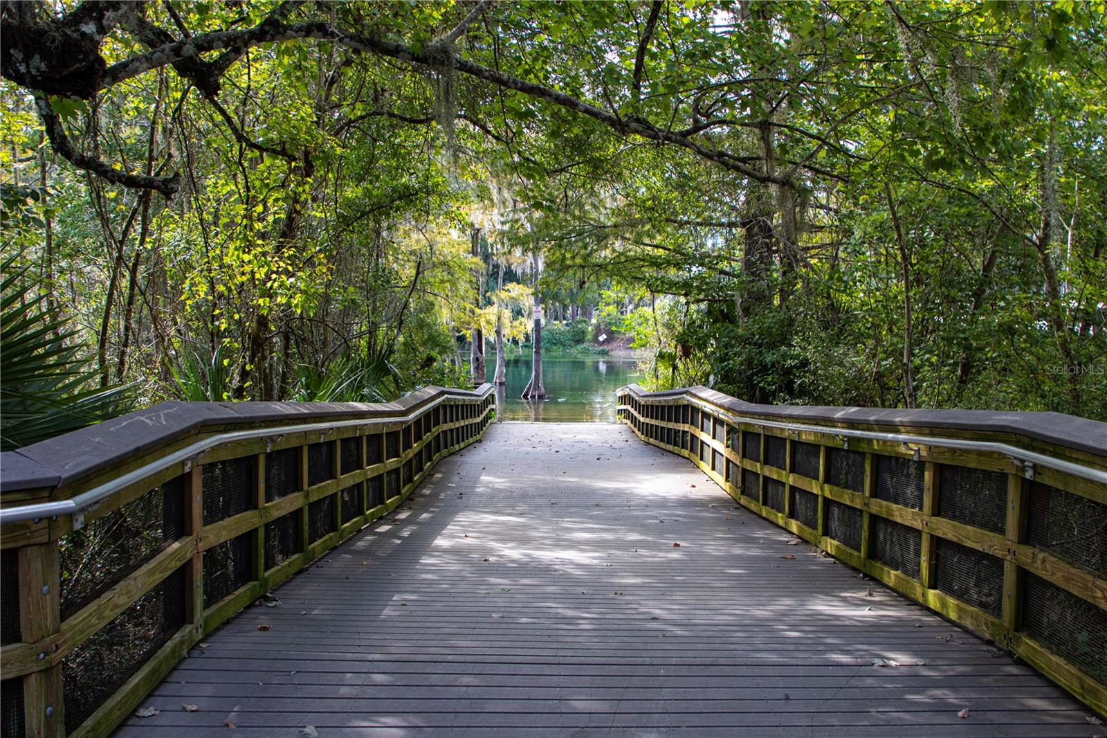 12190 MAPLE ST, DUNNELLON, FL, 34432