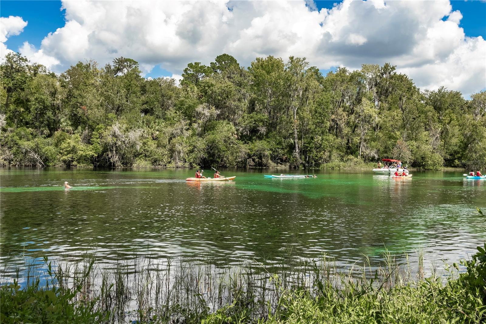 12190 MAPLE ST, DUNNELLON, FL, 34432