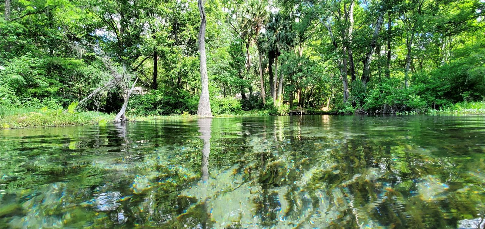 12190 MAPLE ST, DUNNELLON, FL, 34432