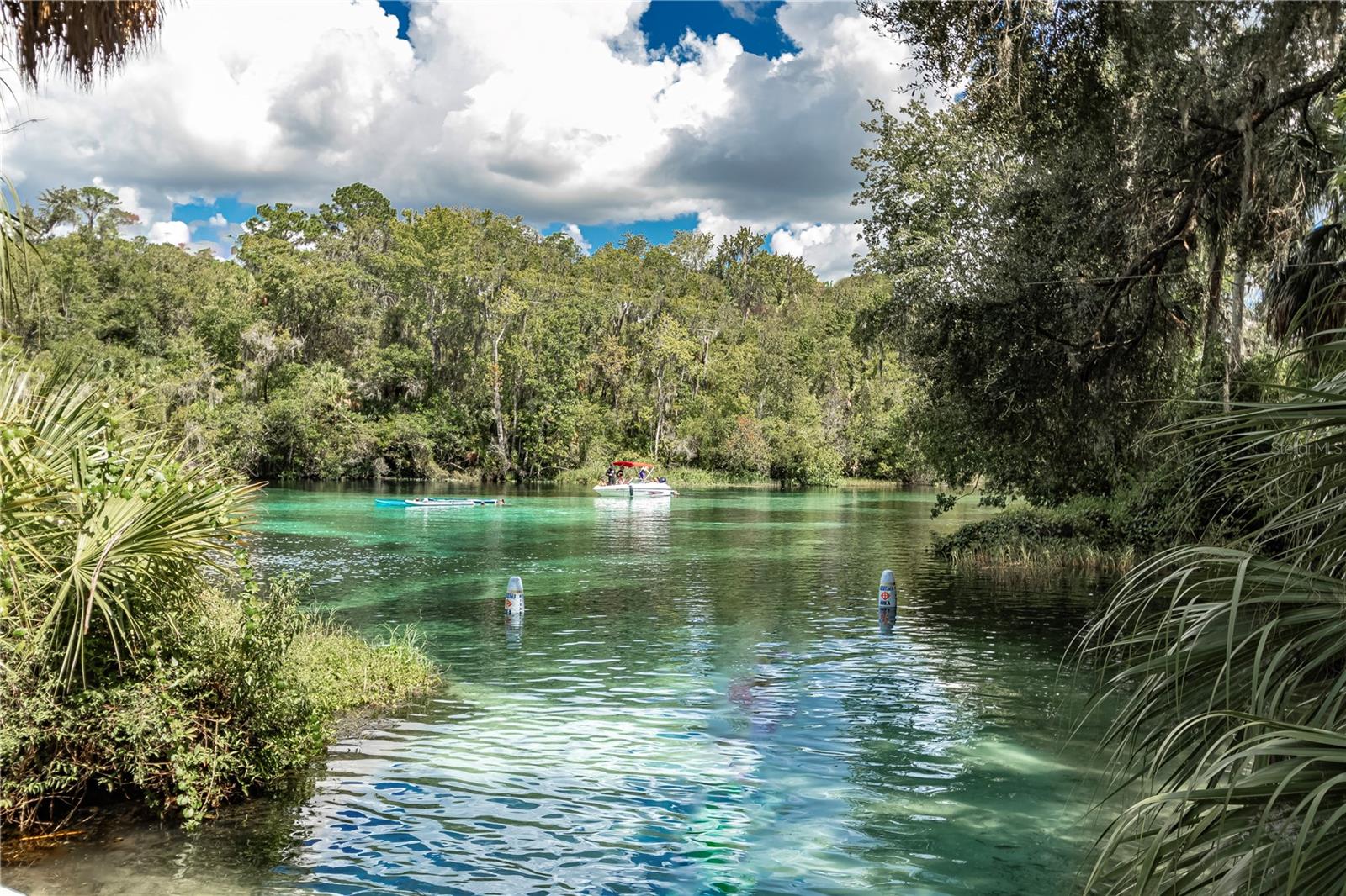 12190 MAPLE ST, DUNNELLON, FL, 34432