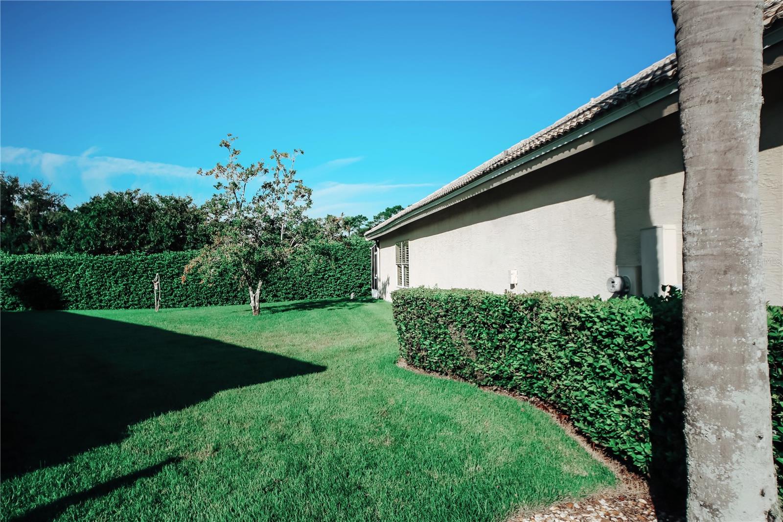 9015 HEATHLAND CT, MOUNT DORA, FL, 32757