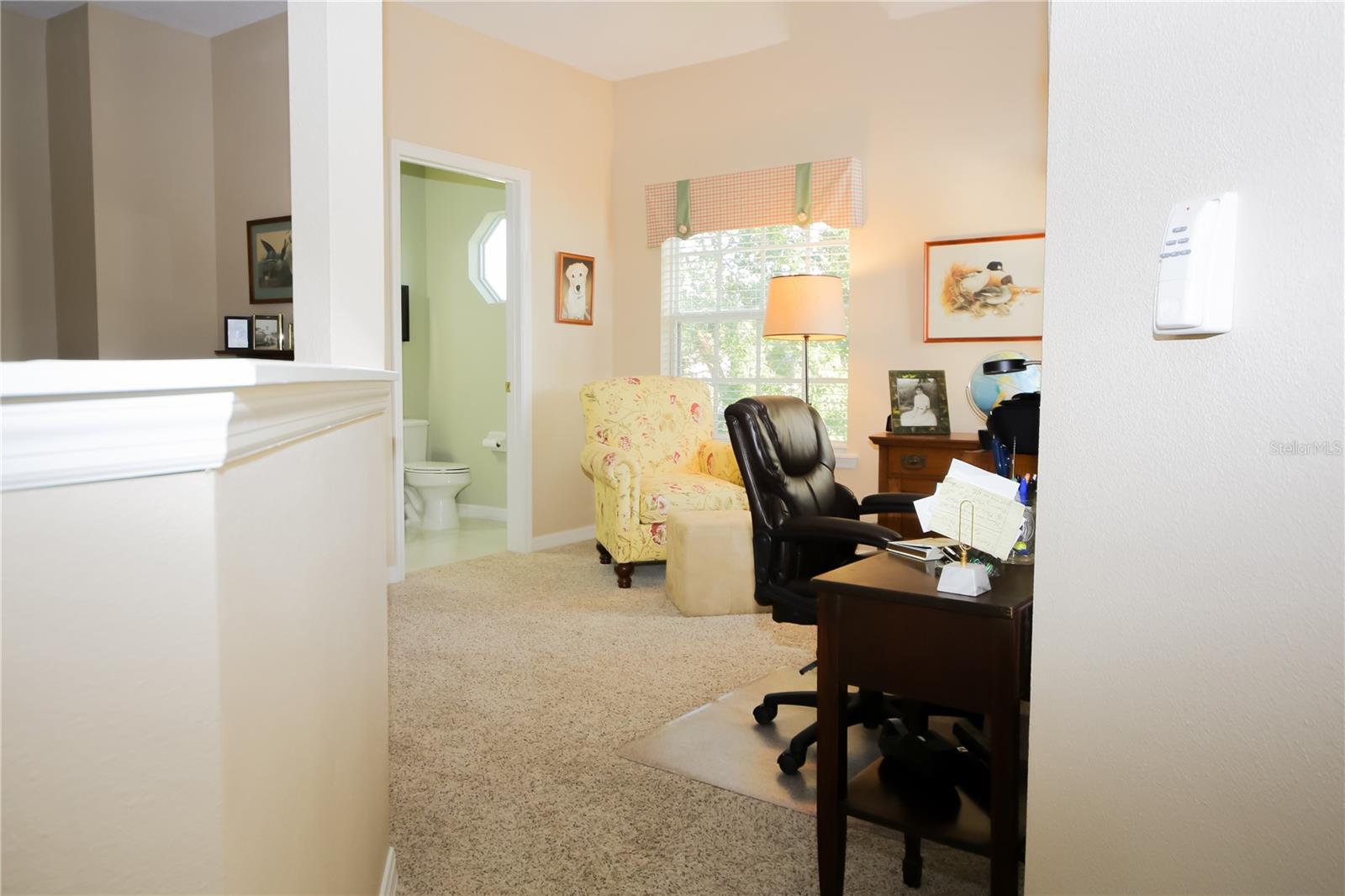 9015 HEATHLAND CT, MOUNT DORA, FL, 32757