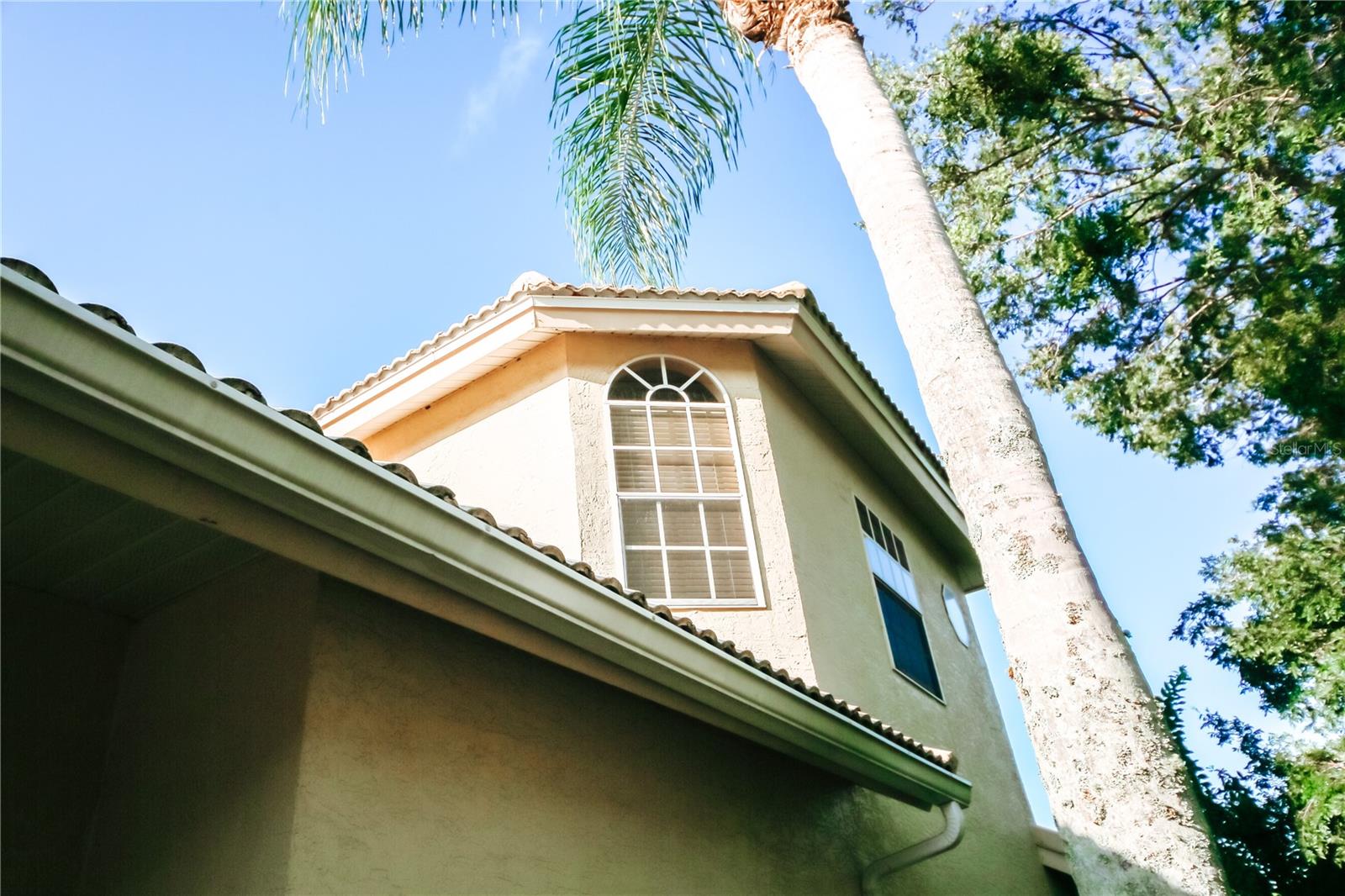 9015 HEATHLAND CT, MOUNT DORA, FL, 32757