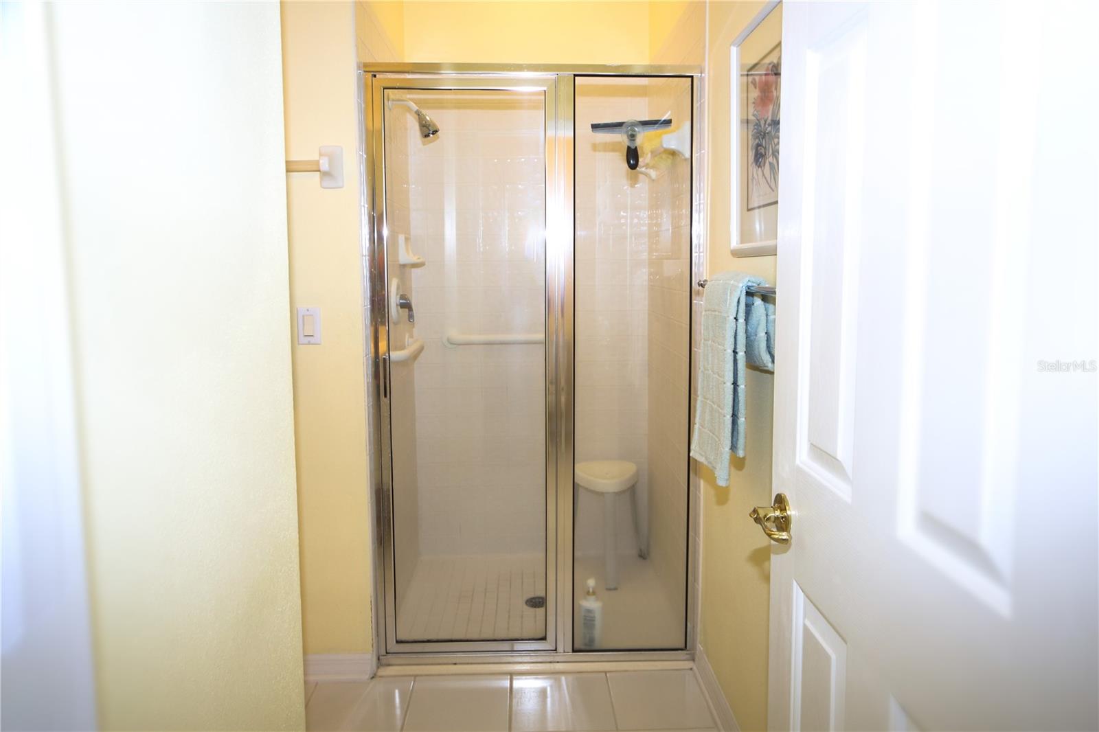 9015 HEATHLAND CT, MOUNT DORA, FL, 32757