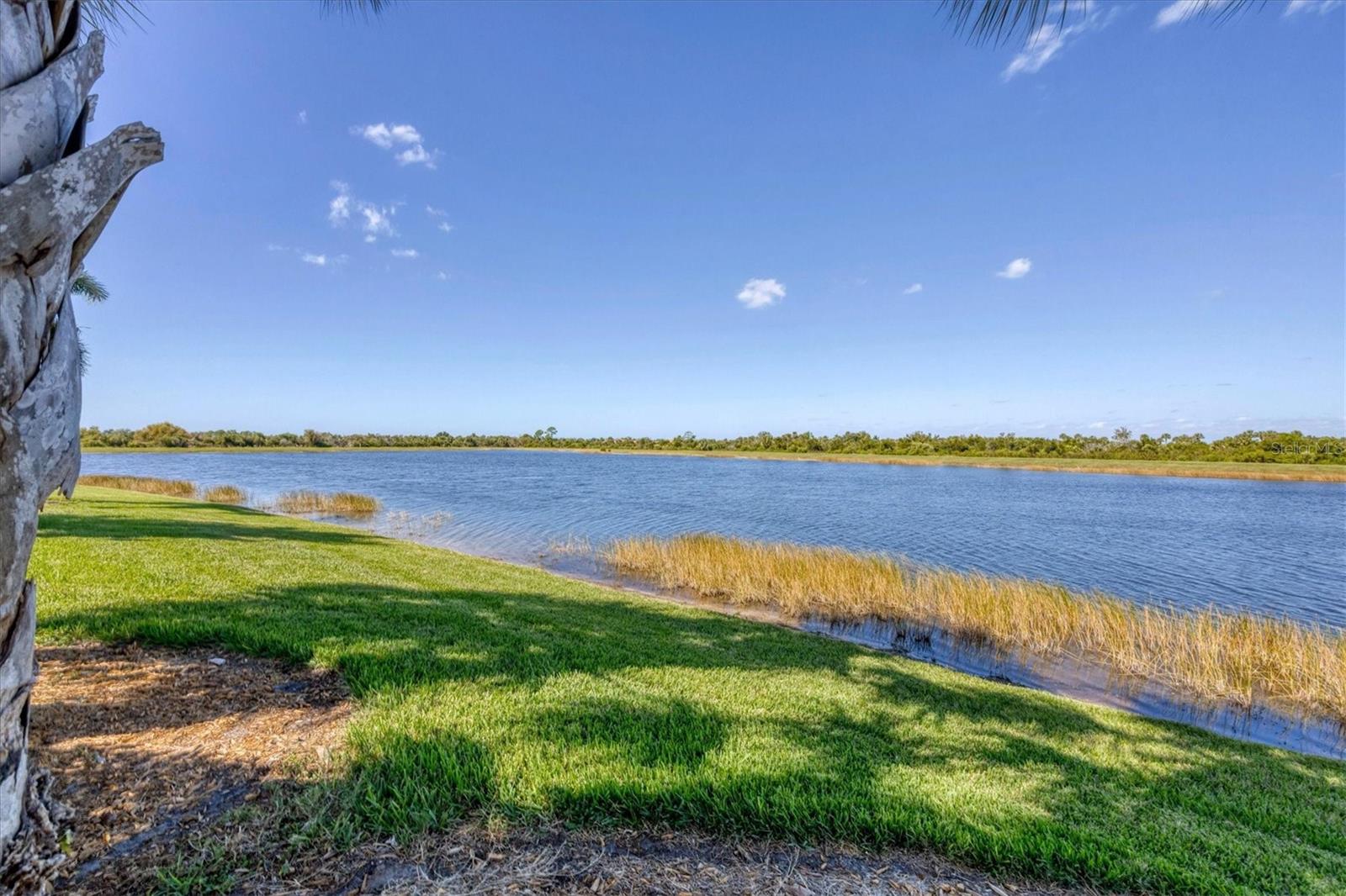 23787 WAVERLY CIR, VENICE, FL, 34293