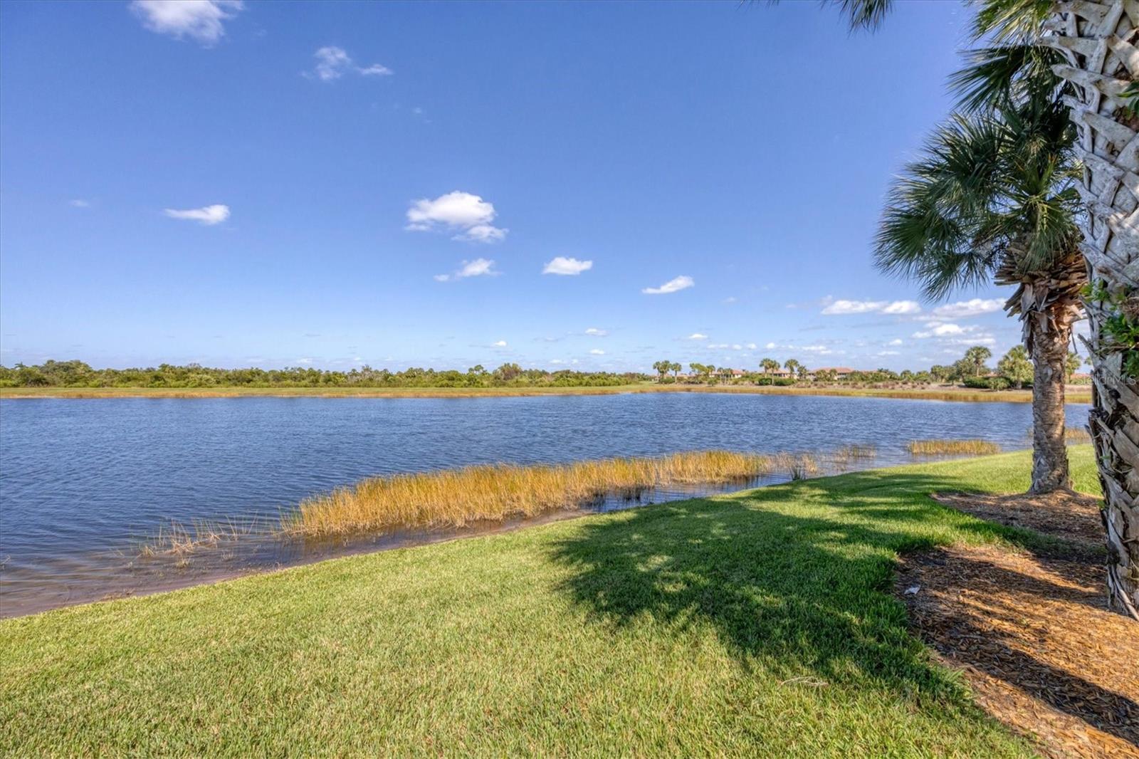 23787 WAVERLY CIR, VENICE, FL, 34293