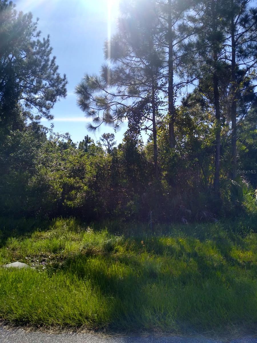 12109 KELLER AVE, PORT CHARLOTTE, FL, 33981