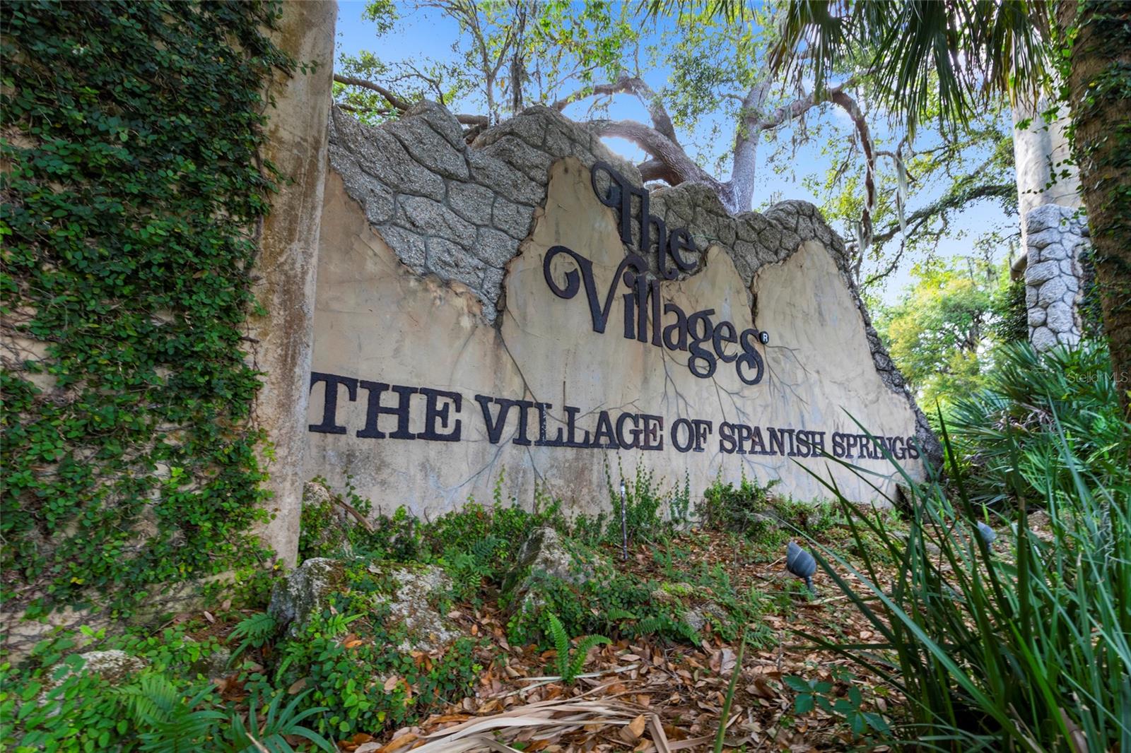 315 GONZALES PL, THE VILLAGES, FL, 32159