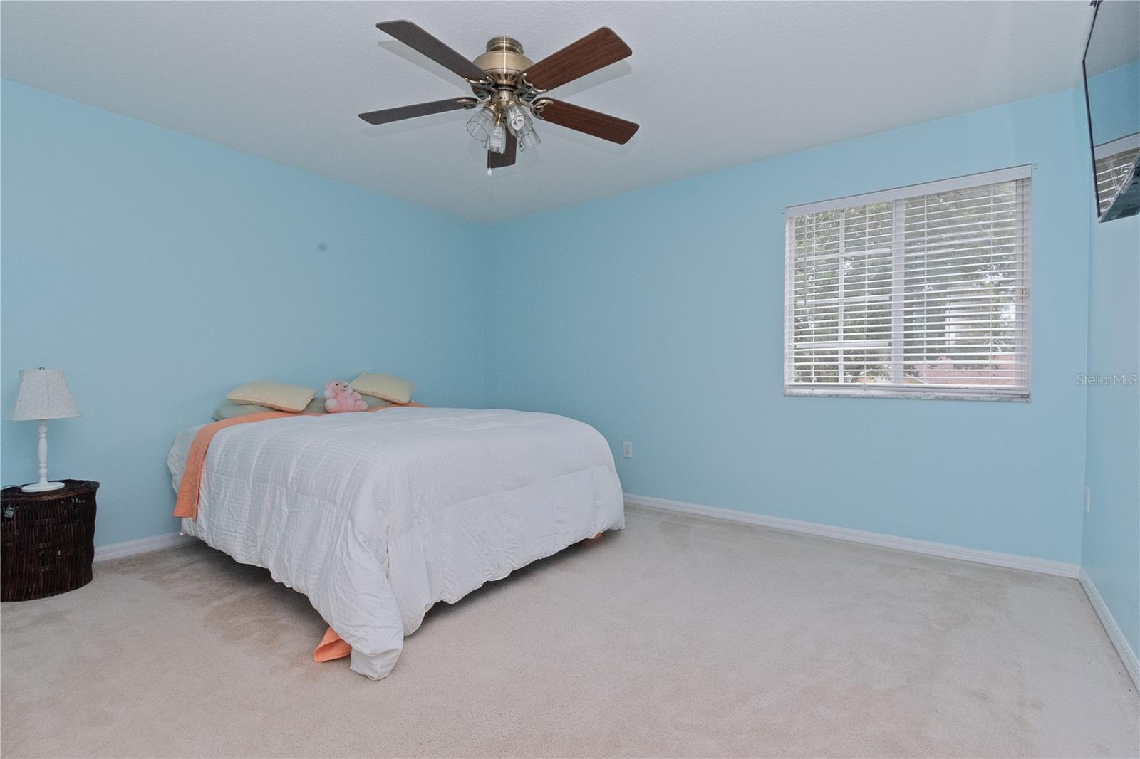 4224 FLEEWELL CT, VALRICO, FL, 33596