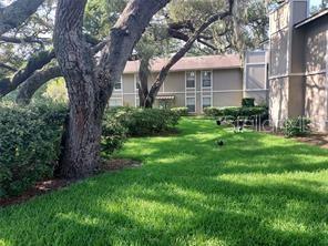 14219 SHADOW MOSS LN #101, TAMPA, FL, 33613