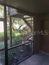 14219 SHADOW MOSS LN #101, TAMPA, FL, 33613