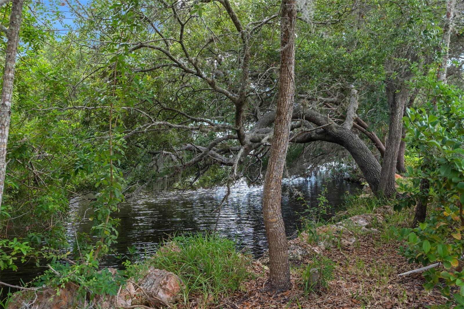 11972 W RIVERHAVEN DR, HOMOSASSA, FL, 34448