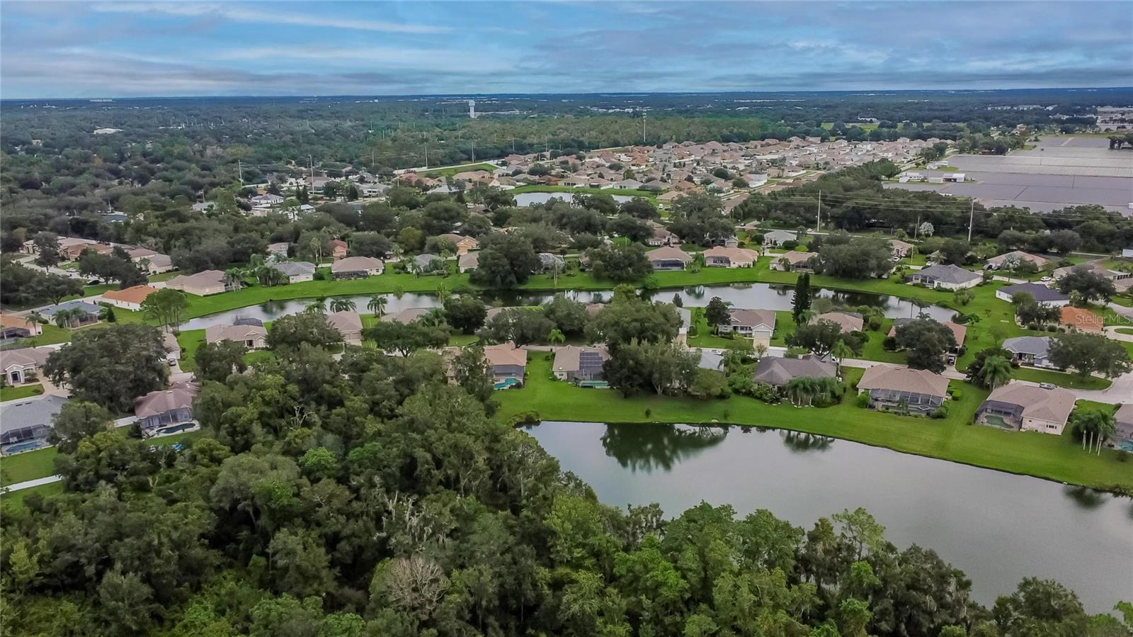 2929 SPRING HAMMOCK DR, PLANT CITY, FL, 33566