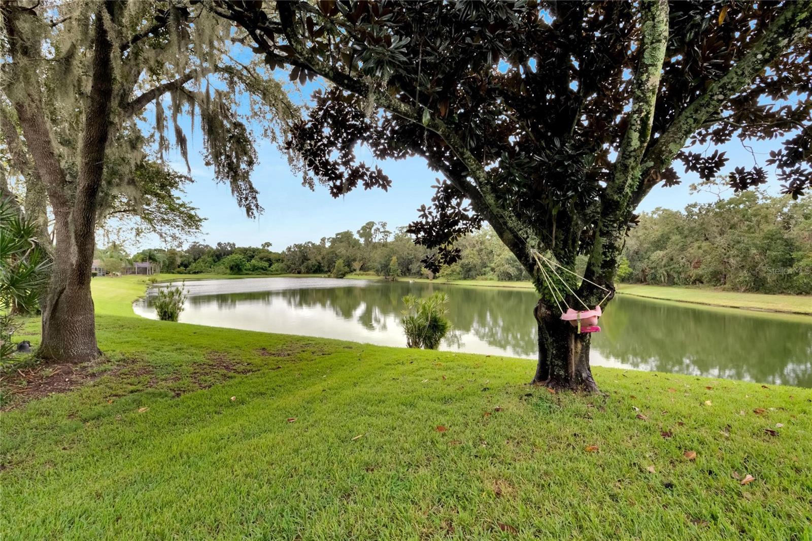 2929 SPRING HAMMOCK DR, PLANT CITY, FL, 33566