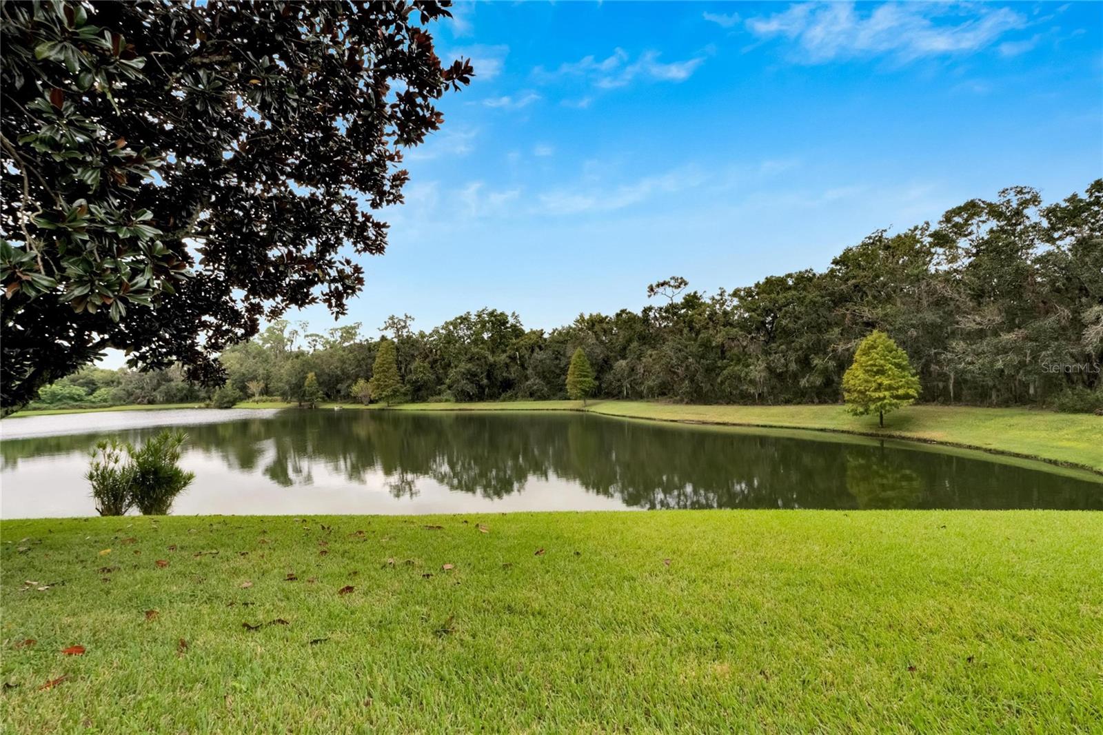 2929 SPRING HAMMOCK DR, PLANT CITY, FL, 33566