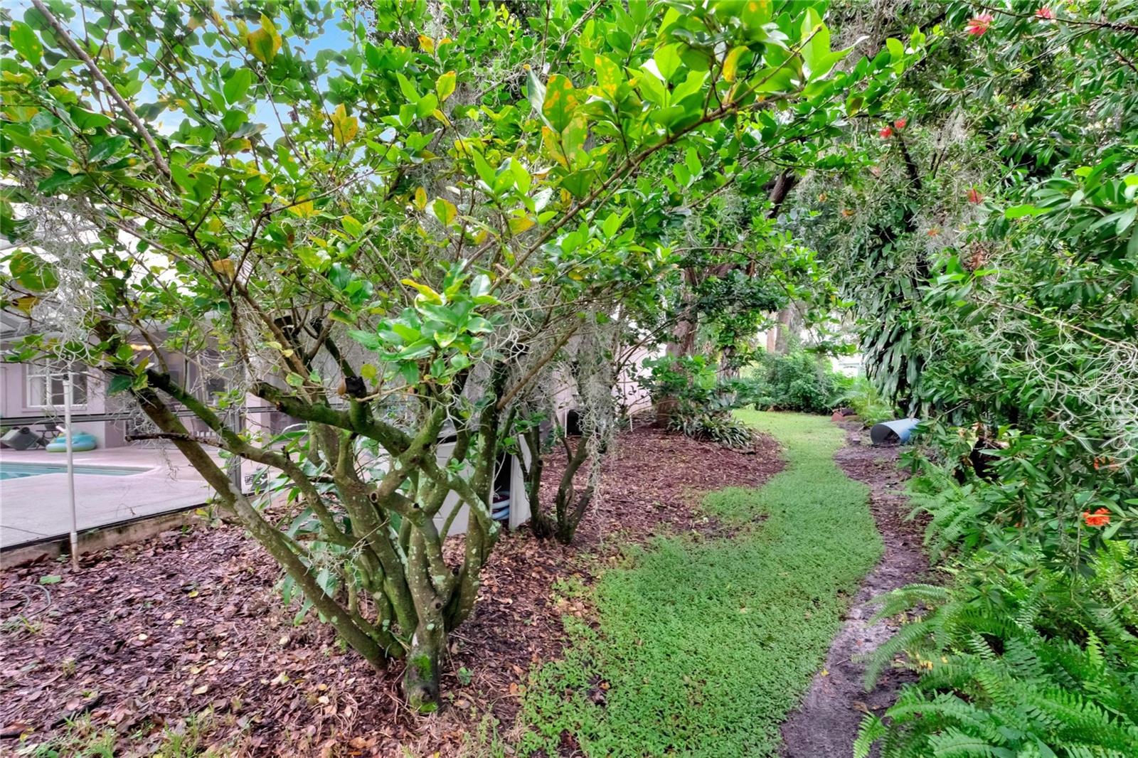 2929 SPRING HAMMOCK DR, PLANT CITY, FL, 33566