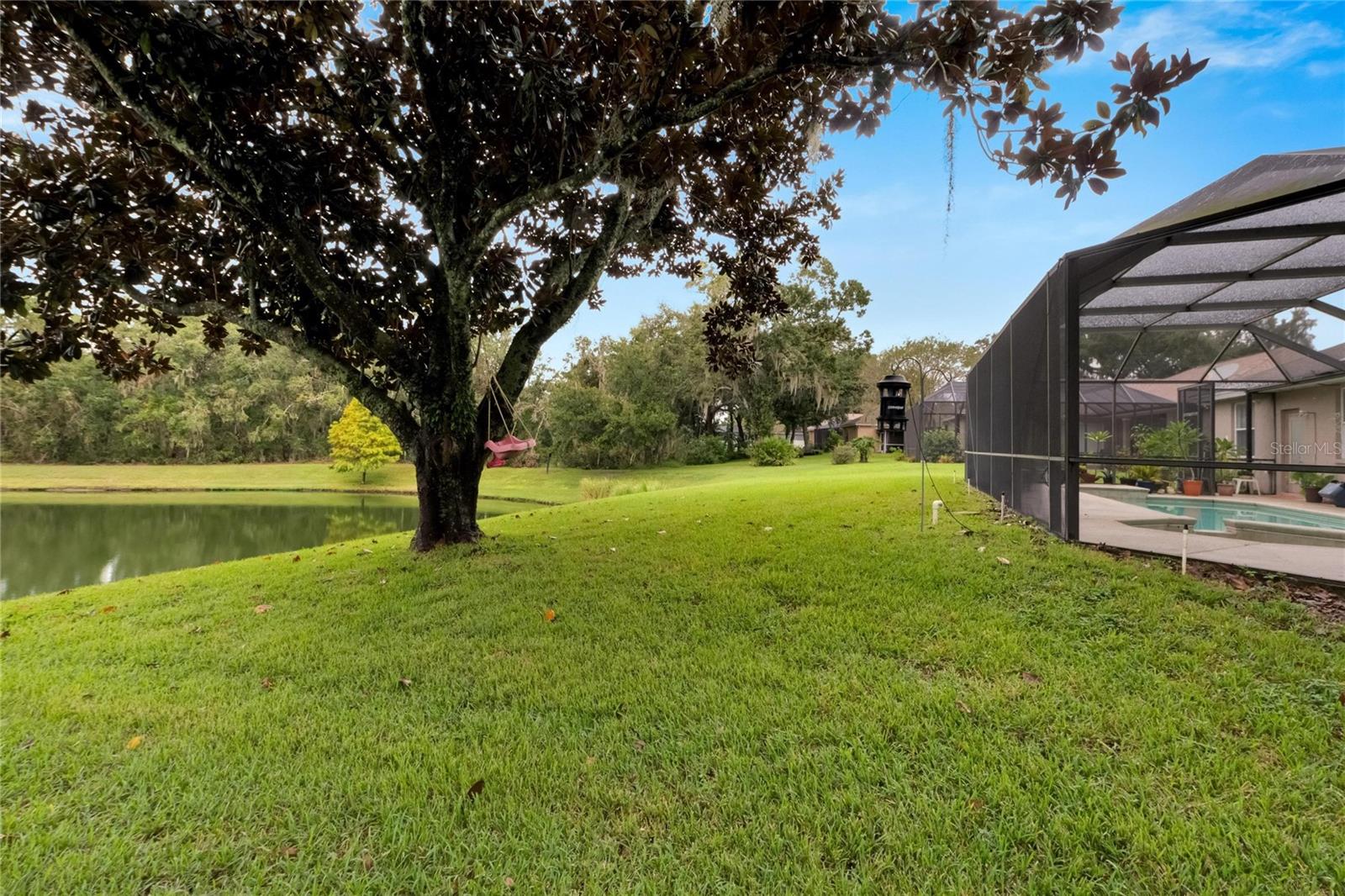 2929 SPRING HAMMOCK DR, PLANT CITY, FL, 33566