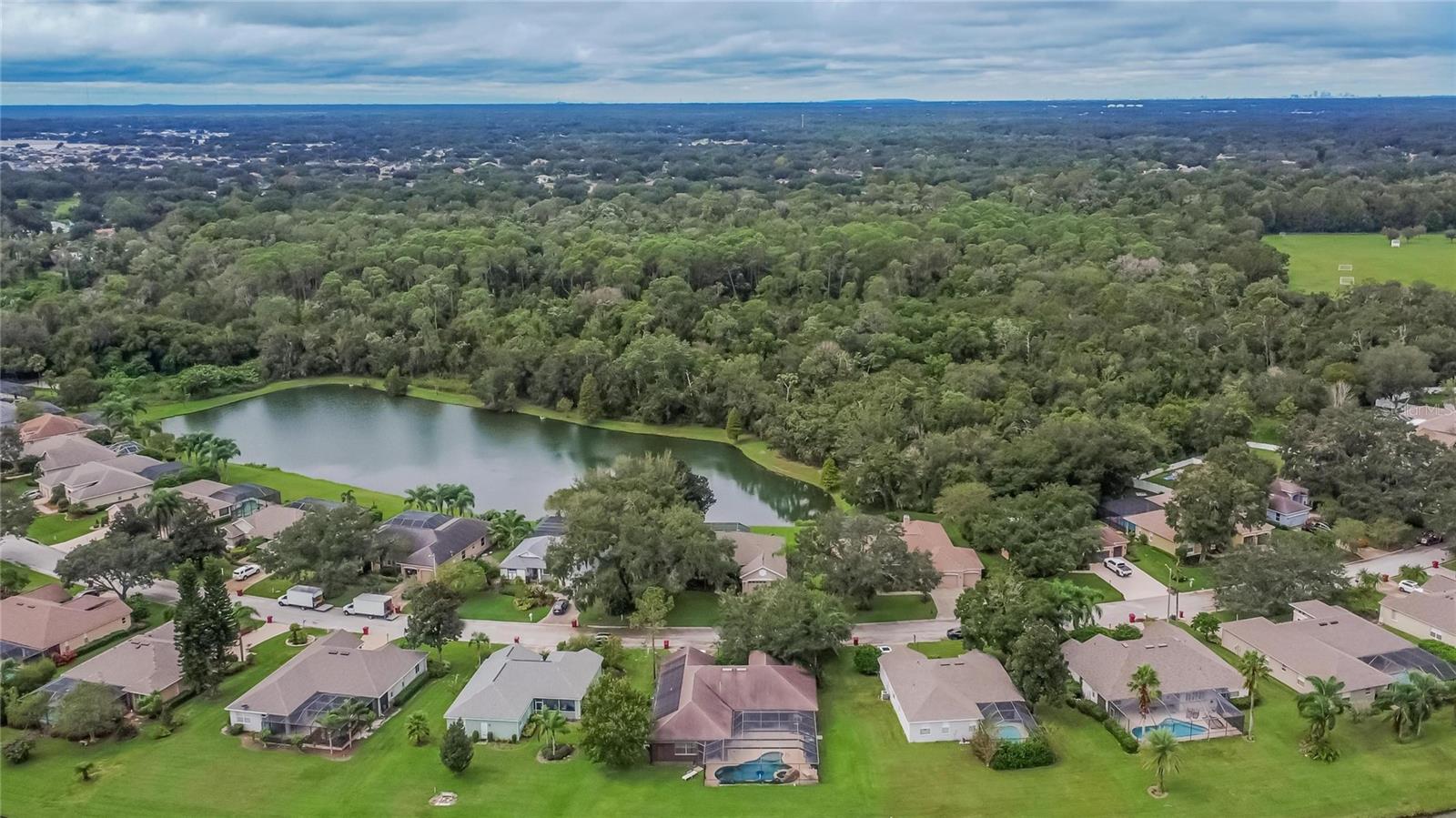 2929 SPRING HAMMOCK DR, PLANT CITY, FL, 33566
