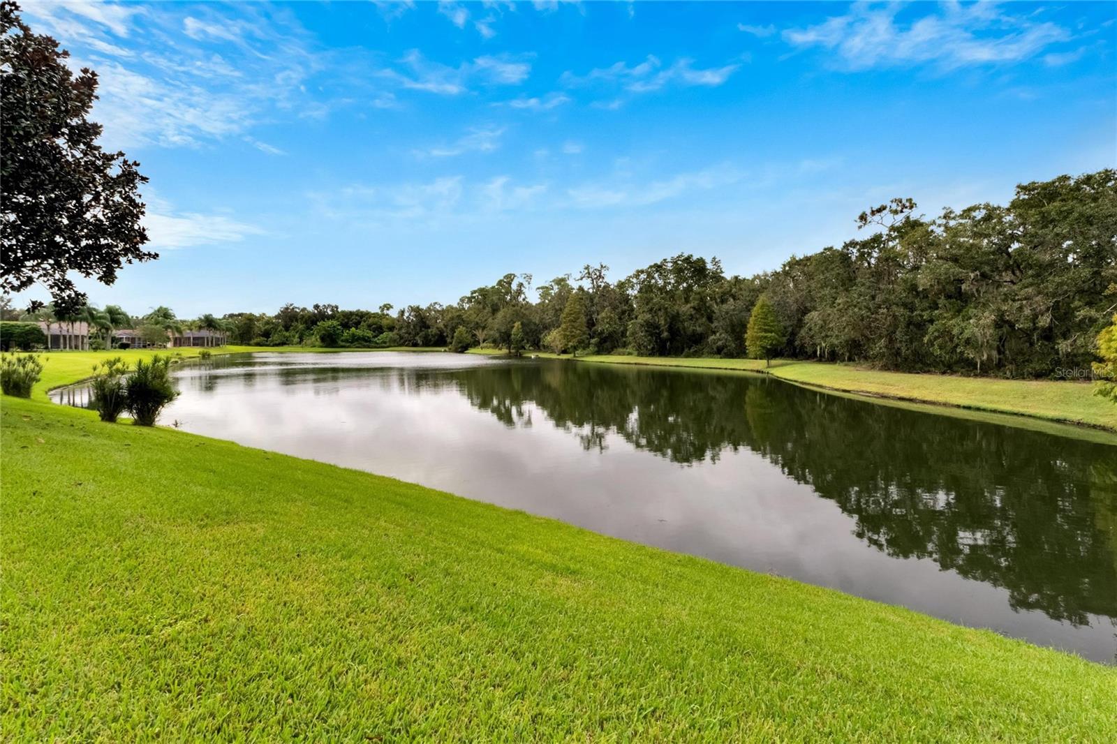 2929 SPRING HAMMOCK DR, PLANT CITY, FL, 33566