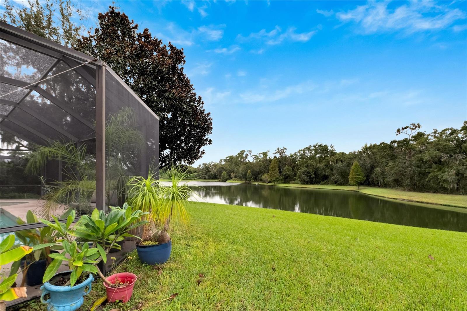2929 SPRING HAMMOCK DR, PLANT CITY, FL, 33566