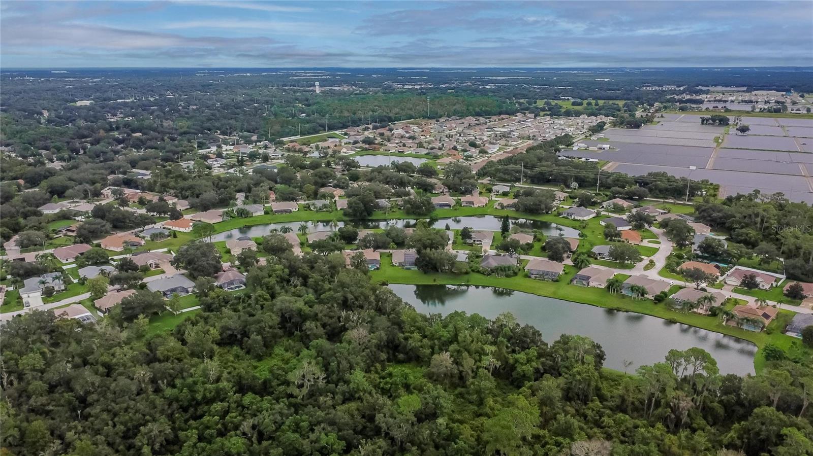 2929 SPRING HAMMOCK DR, PLANT CITY, FL, 33566