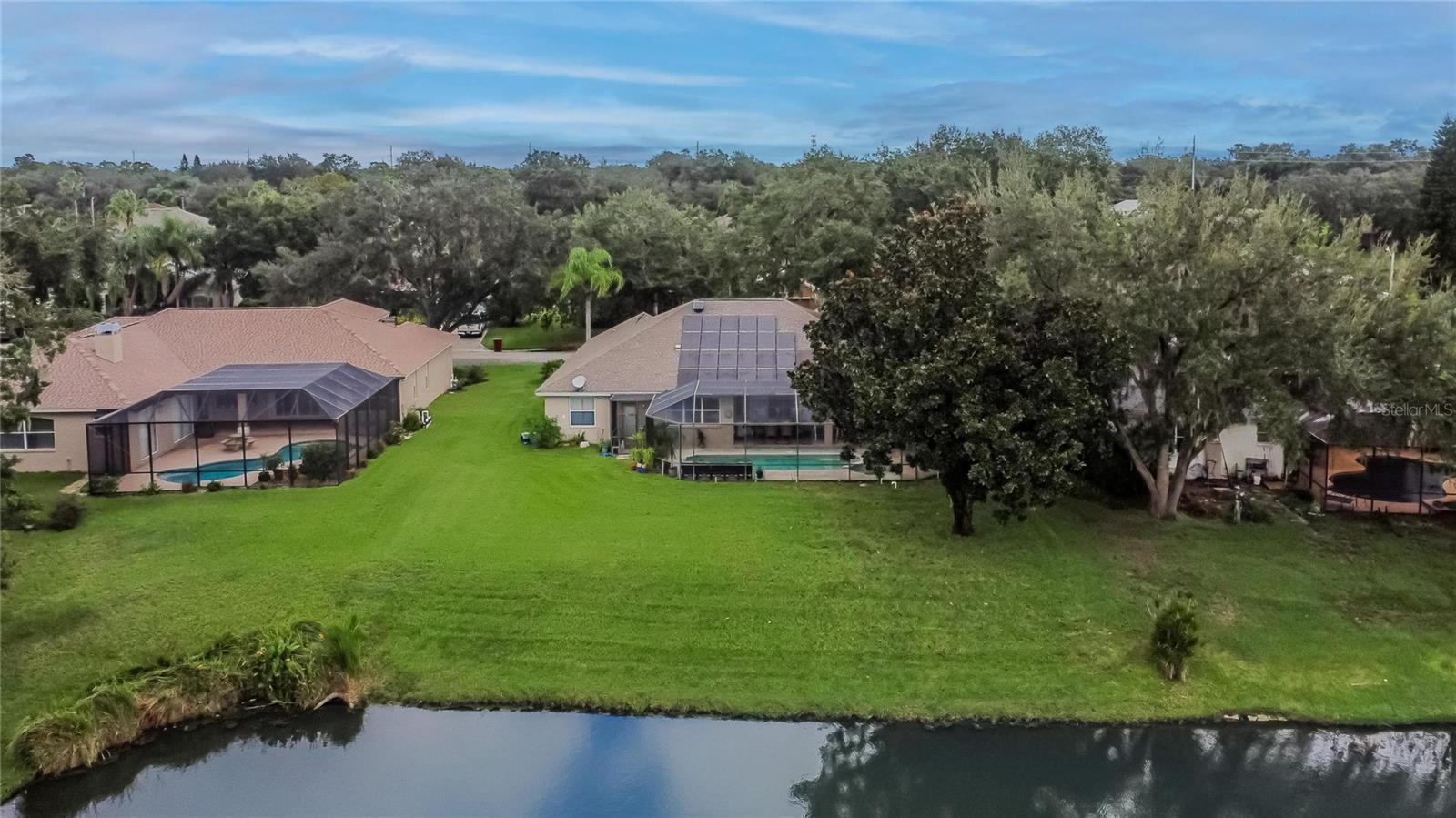 2929 SPRING HAMMOCK DR, PLANT CITY, FL, 33566