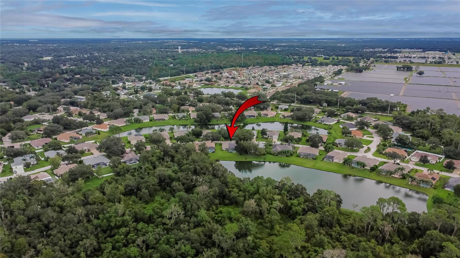 2929 SPRING HAMMOCK DR, PLANT CITY, FL, 33566
