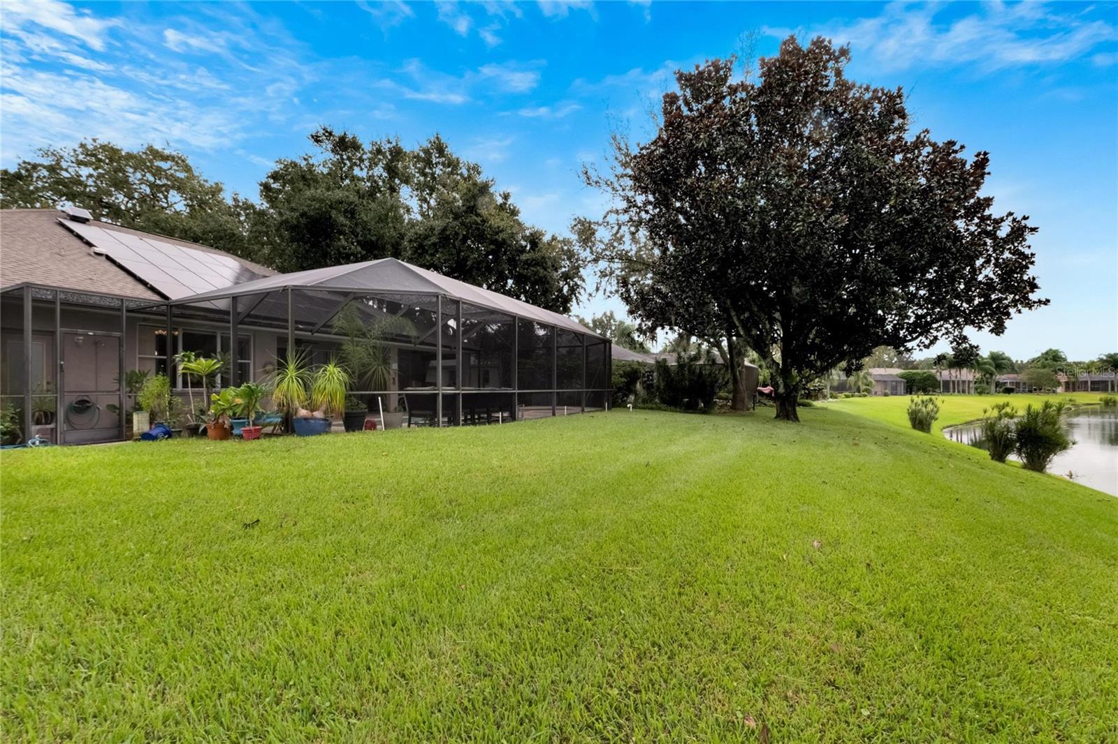 2929 SPRING HAMMOCK DR, PLANT CITY, FL, 33566