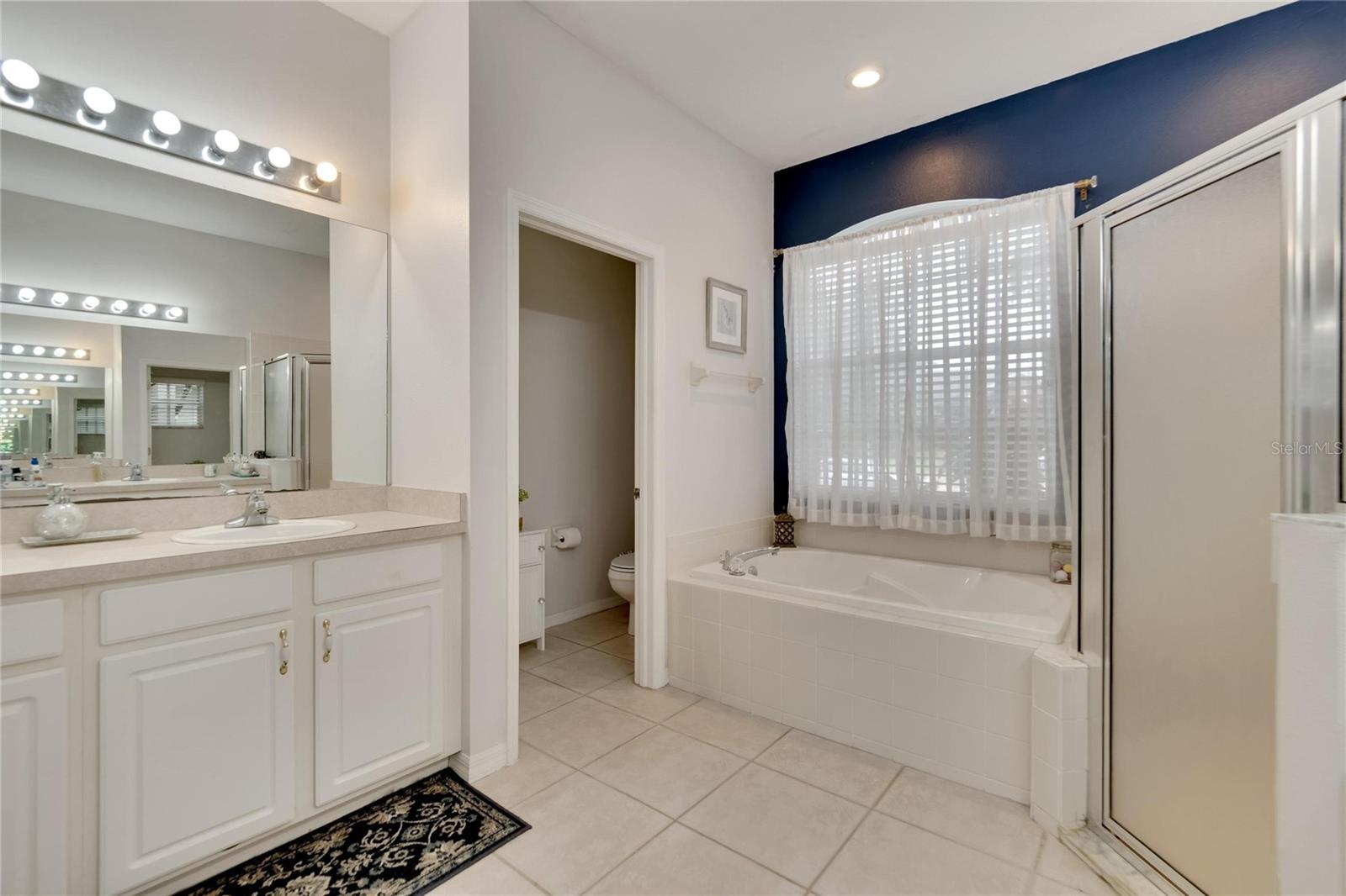 2929 SPRING HAMMOCK DR, PLANT CITY, FL, 33566