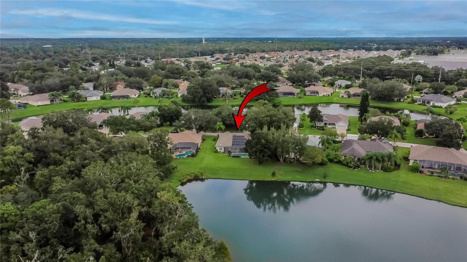 2929 SPRING HAMMOCK DR, PLANT CITY, FL, 33566