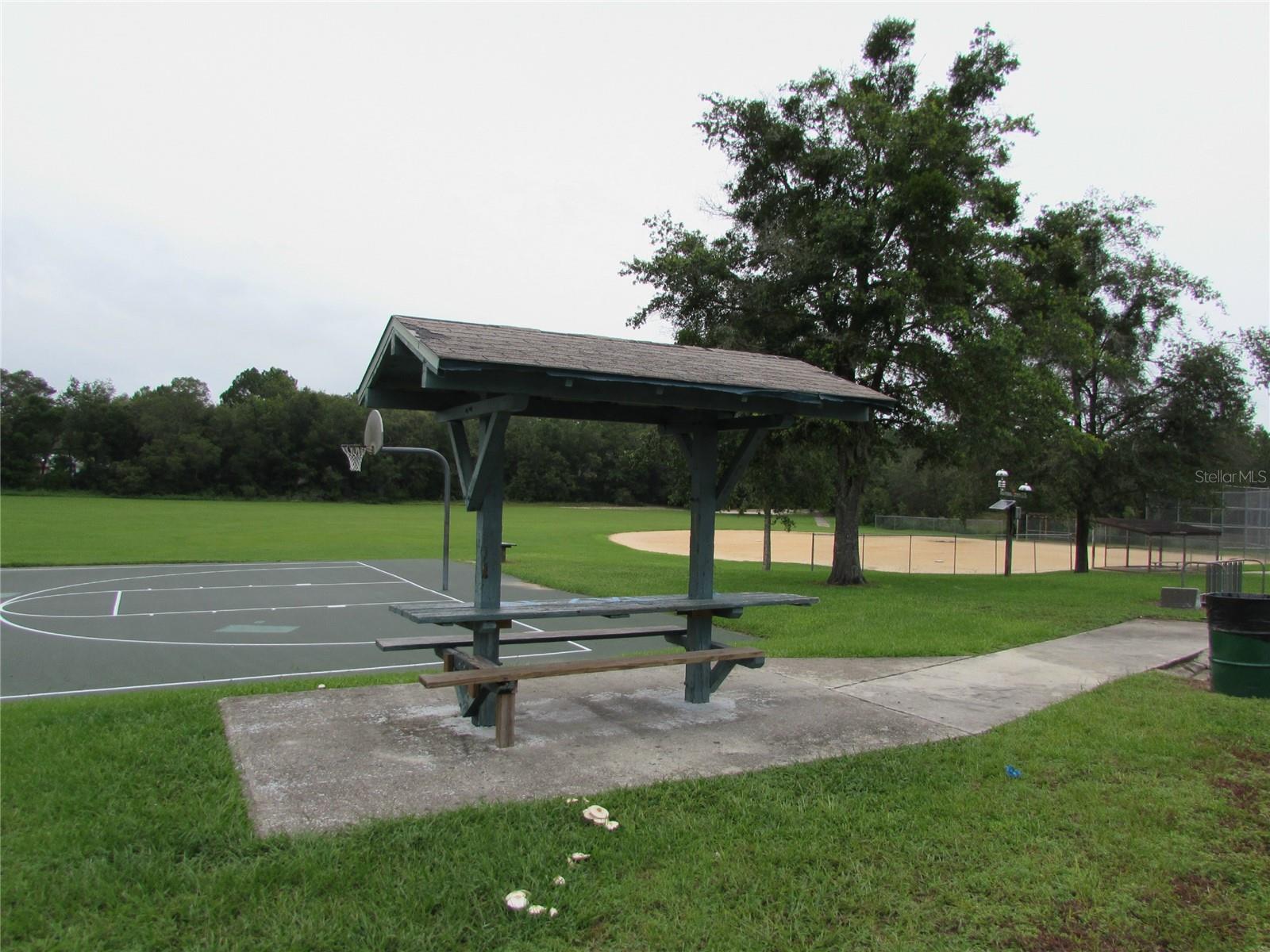 9250 N TRAVIS DR, CITRUS SPRINGS, FL, 34434