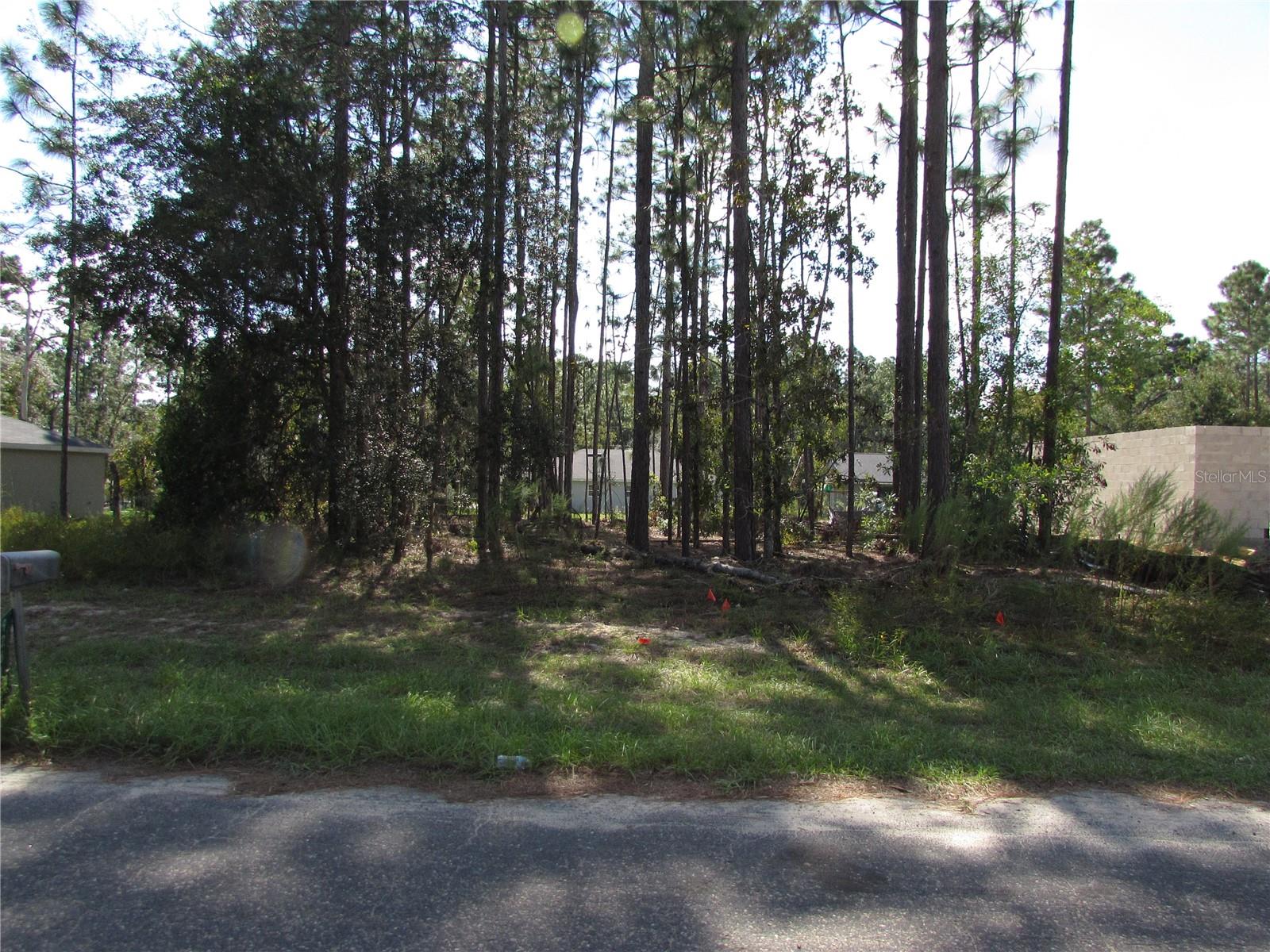 9250 N TRAVIS DR, CITRUS SPRINGS, FL, 34434