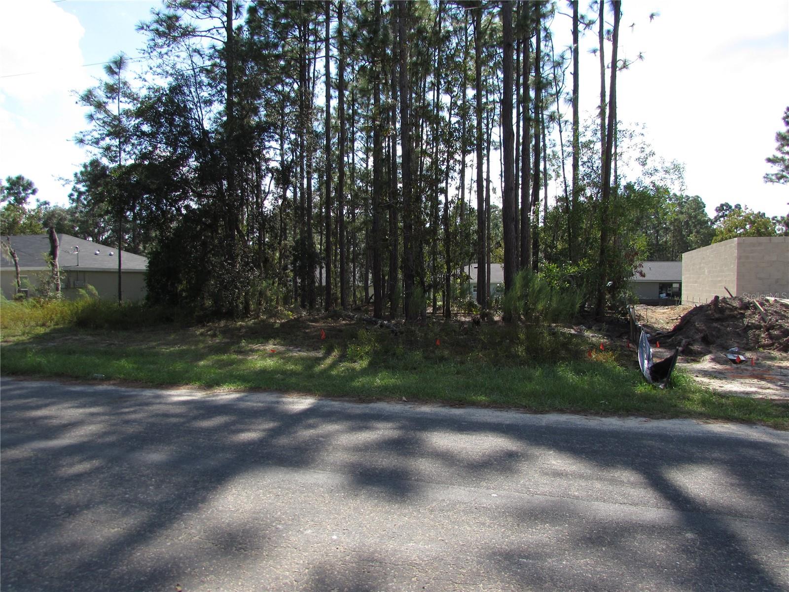 9250 N TRAVIS DR, CITRUS SPRINGS, FL, 34434