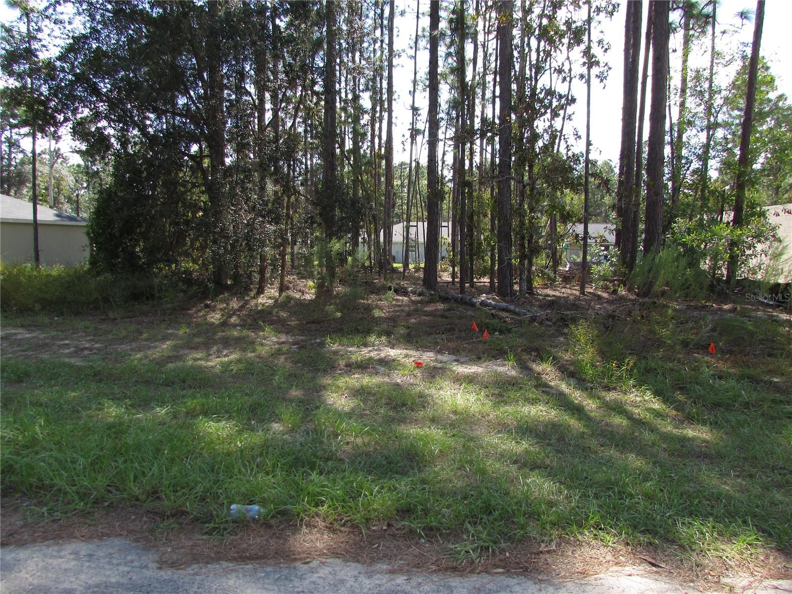 9250 N TRAVIS DR, CITRUS SPRINGS, FL, 34434