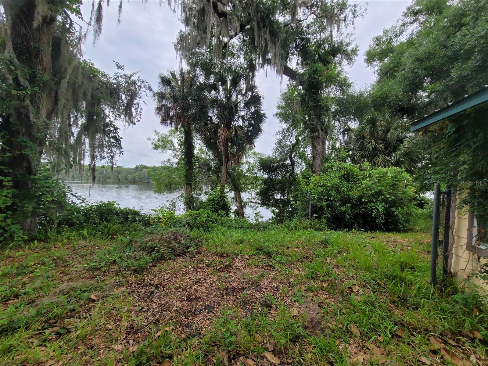 2 MILL ST, WELAKA, FL, 32193