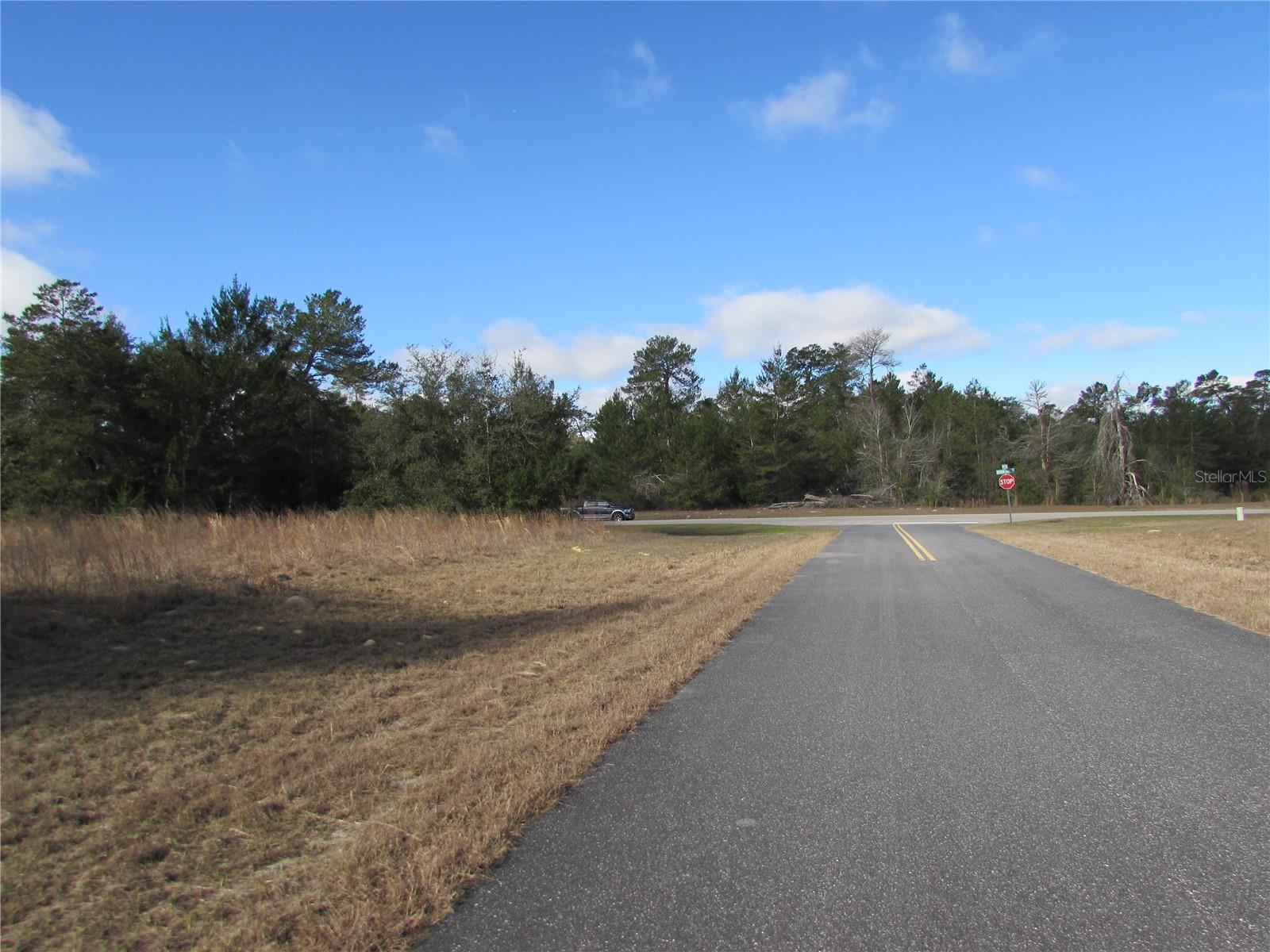 TBD MARION OAKS LN, OCALA, FL, 34473