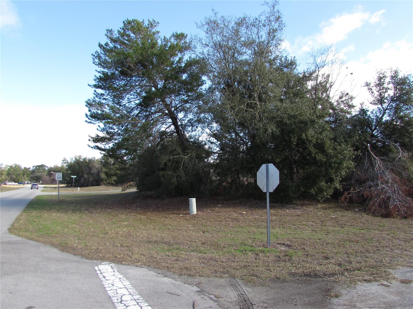 TBD MARION OAKS LN, OCALA, FL, 34473