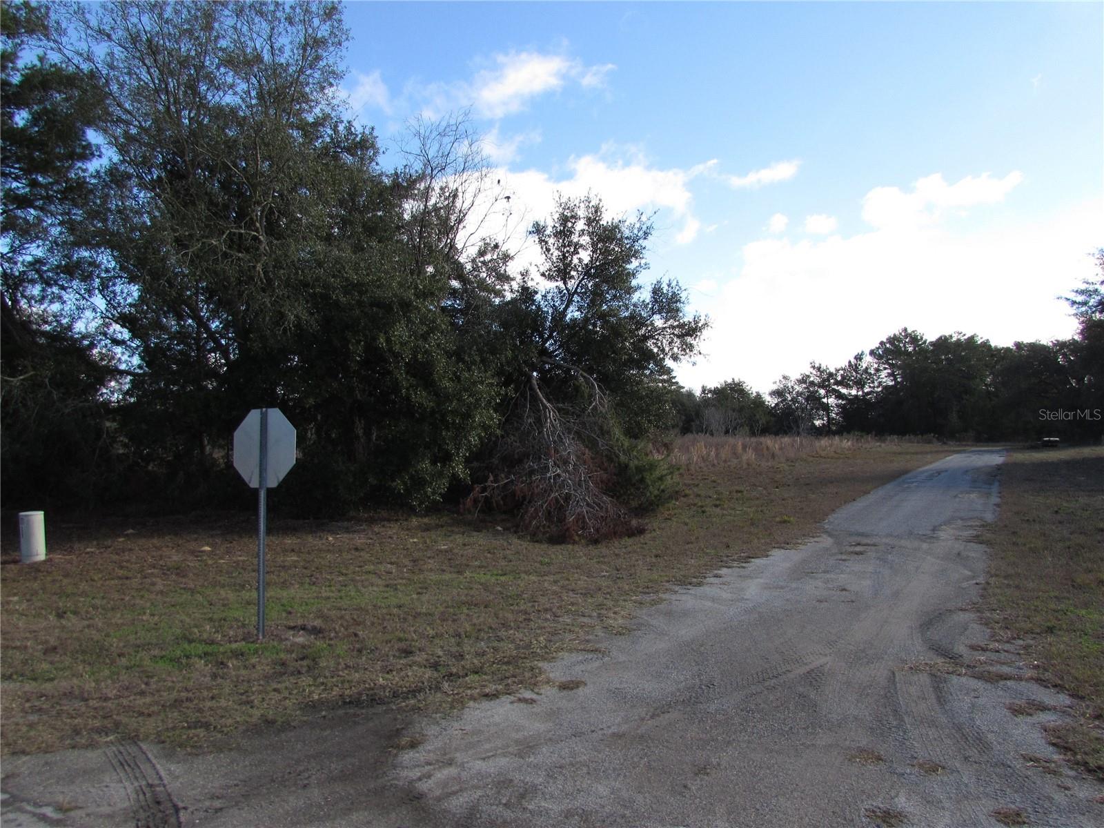 TBD MARION OAKS LN, OCALA, FL, 34473