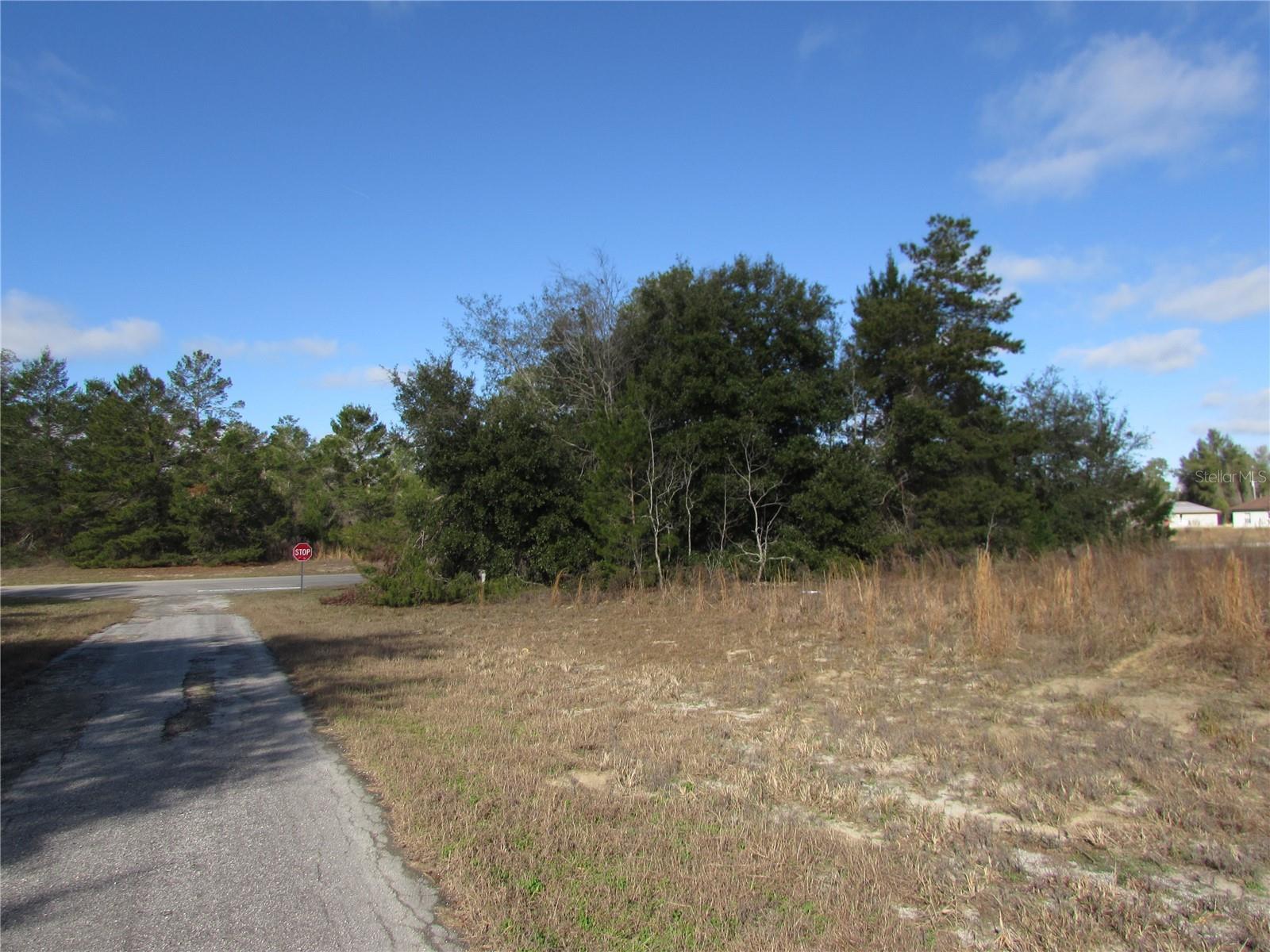 TBD MARION OAKS LN, OCALA, FL, 34473
