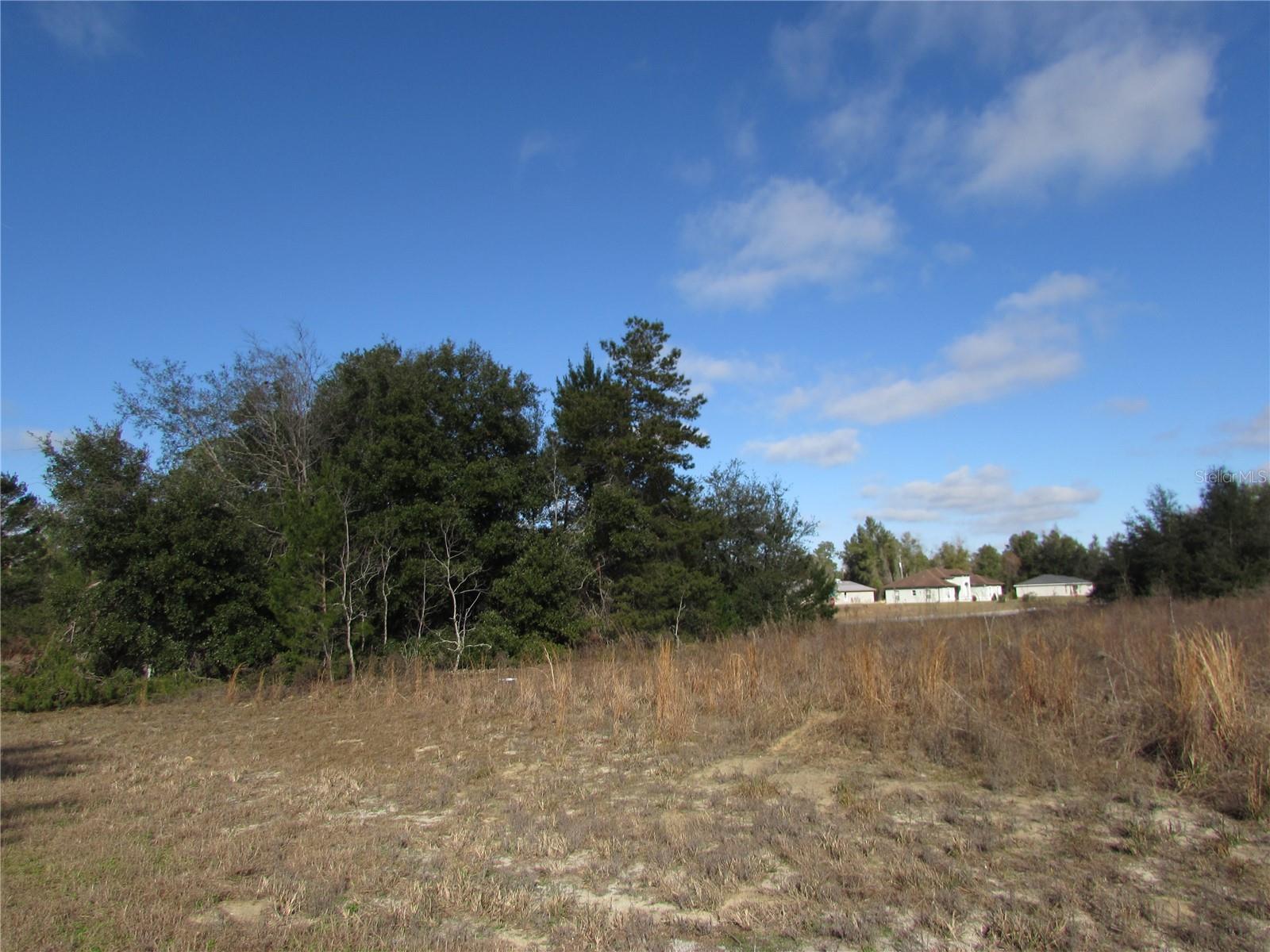 TBD MARION OAKS LN, OCALA, FL, 34473